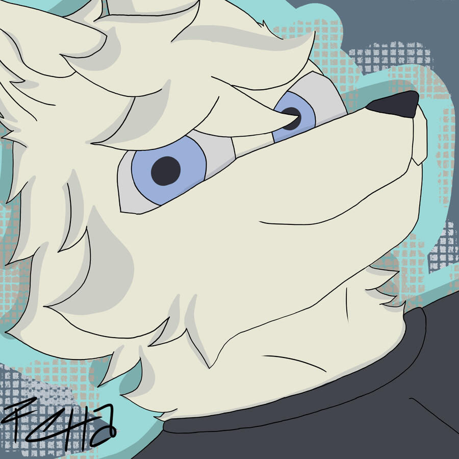 Head + Flat color + Basic shade + Simple background